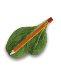 shap-11